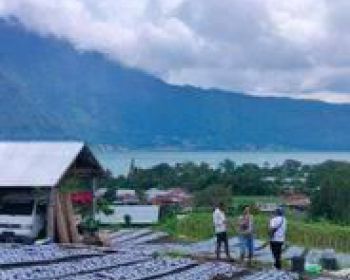 43 are Land Super View Gunung Danau Bukit di Kintamani Bali