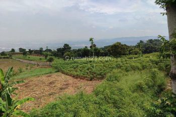 Tanah di jual Hambalang sentul bogor SHM