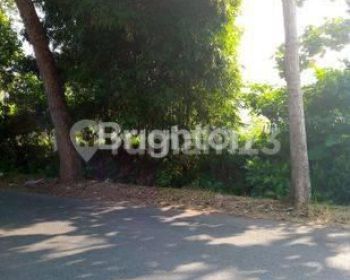 TANAH LOKASI GUNUNG PATI. BAGUS UNTUK INVESTASI JANGKA PANJANG