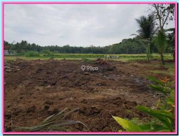 Tanah Dijual Jogja Barat Dekat RS Rizki Amalia