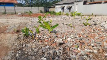 Tanah 488 m² SHM Dekat Kampus UI di Perbatasan Depok dan Jaksel