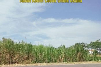 Tanah Kediri Mangku Jalan Dekat Dengan Simpang Lima Gumul