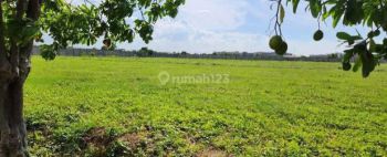 Disewakan Kavling Komersial Gudang di Marunda Center