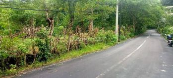 Nunggalan Pecatu Land area for Lease