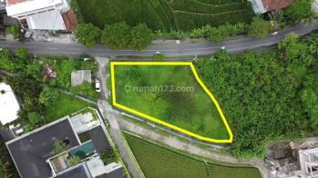 Disewakan Tanah 900 M2 Pinggir Jalan Utama