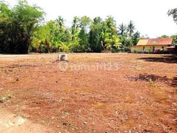 Tanah Murah Sentul Dekat Sirkuit Promo Hanya 200 Jt An Free Shm