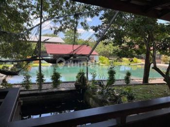 Rumah Tateli, di Manado Luas Tanah 11.000 m²