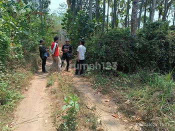 Tanah Kebun SHM Murah di Malang Raya Keren