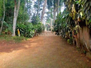 Area Gerbang Tol Desari Tanah Strategis  Luas Ideal