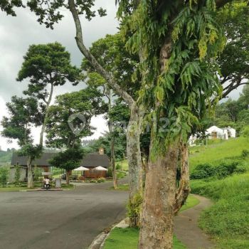 Dijual Tanah Kavling Taman Dayu Pandaan Pasuruan