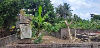 Jungle view dekat central Ubud.