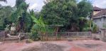 thumbnail-jungle-view-dekat-central-ubud-12