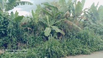 Dijual tanah dramaga ciherang laladon bogor