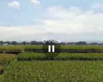 Dijual tanah pertanian Bareng, Jombang