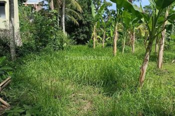 Tanah cocok untuk rumah tinggal acess jalan luas