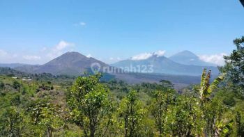 Di Jual Tanah Kintamani Dengan View Gunung Batur