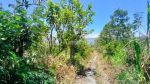 thumbnail-di-jual-tanah-kintamani-dengan-view-gunung-batur-2