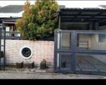 Rent Rumah: Rumah Minimalis