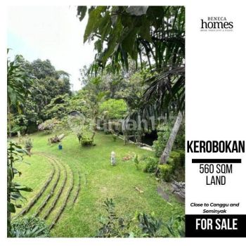 Tanah di Kerobokan, Badung SHM 560 m²