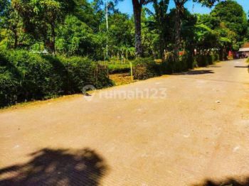 Belakang Yomart Sagaracipta Pinggir Jalan Desa