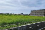 thumbnail-1000-m2-land-in-cemagi-for-lease-5