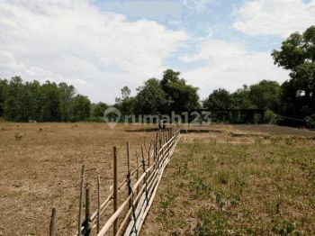 Tanah Di Desa Benteng Gajah Tanralili Maros