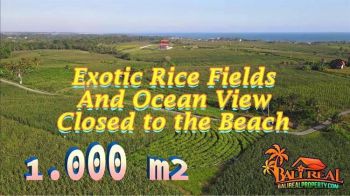 Akses Mobil Lokasi Dekat Pantai 1,000 m2 di Tabanan