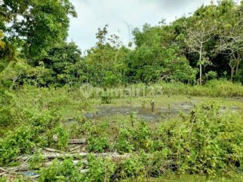 Pecatu Graha Land area for Sale/Lease