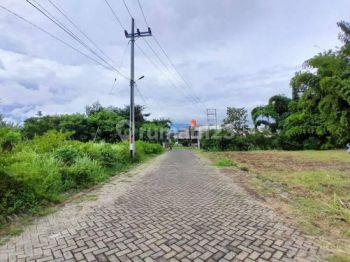 Tanah Murah Malang Dekat Kampus Umm Cocok Untuk Kos