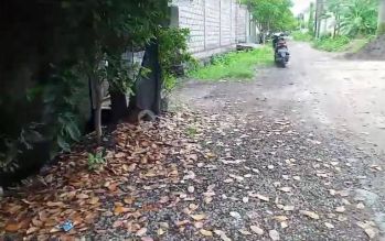 Tanah Siap Bangun Lokasi Strategis di Jl Tukad Badung XIV Renon