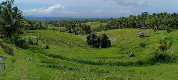 tanah view sawah terasering cantik di tabanan bali.