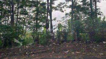 Dijual Dan Disewakan Tanah Luas Jl. Jangli Gabeng Semarang