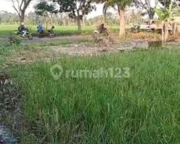 Tanah ekslusive Pinggir jalan,  Dekat Rumah sakit RSDH Cianjur