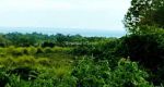 thumbnail-dijual-tanah-murah-view-lautan-biru-sangat-indah-pemandangan-indah-10-menit-dari-13