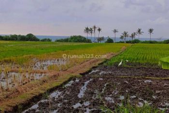 Tanah Los pantai pasut tabanan bali.