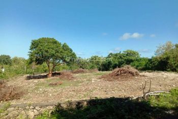 Tanah di Ungasan, Badung 1.650 m² Pd