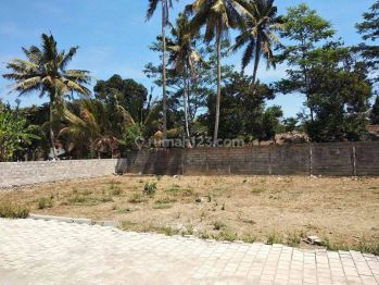 500 Jutaan, Murah Tanah di Jogja Sleman