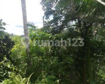 Jual Tanah Strategis Tegalalang.Ubud