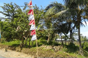 Tanah di Pakem, Sleman SHM 144 m² Dijual Tanah Kavling Bunga 0 8 Menit Kampus di