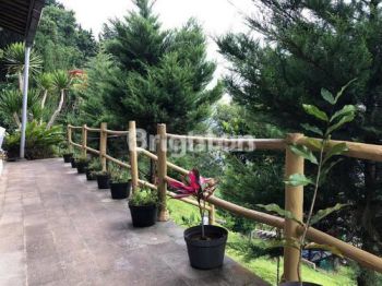 Tanah di Bedugul 1500m2 bonus Villa