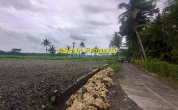 Tanah Dijual Tawangsari, Pengasih Dekat Bandara Yia View Sawah