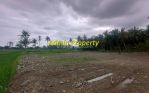 thumbnail-tanah-dijual-tawangsari-pengasih-dekat-bandara-yia-view-sawah-1