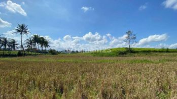 Dijual Tanah Kavling area Yeh Gangga, Tabanan