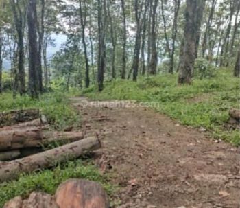 MURAH BU TANAH KEBUN HANYA 90.000/M2