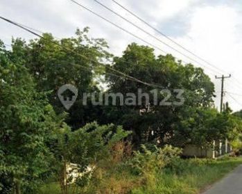 Tanah Untuk Bangun Ruang Usaha Atau Kantor Pinggir Jalan Raya Gantar