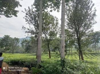 Dijual Tanah Atau Lahan di Jl. Batu Kramat Puncak Jawa Barat