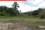 thumbnail-cuma-ini-rumah-asri-view-kota-sindanglaya-bandung-238h5-0