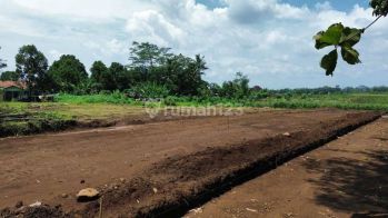Tanah Kavling Pekarangan SHM suasana Desa Sejuk