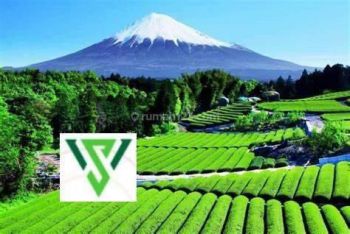 Tanah kavling murah 9jt/m graha Natura Citraland