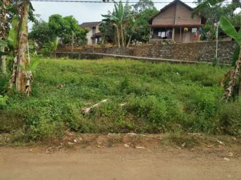 Tanah Mijen jl Kauman Wonoyoso Wonolopo Hm 932 Hoek